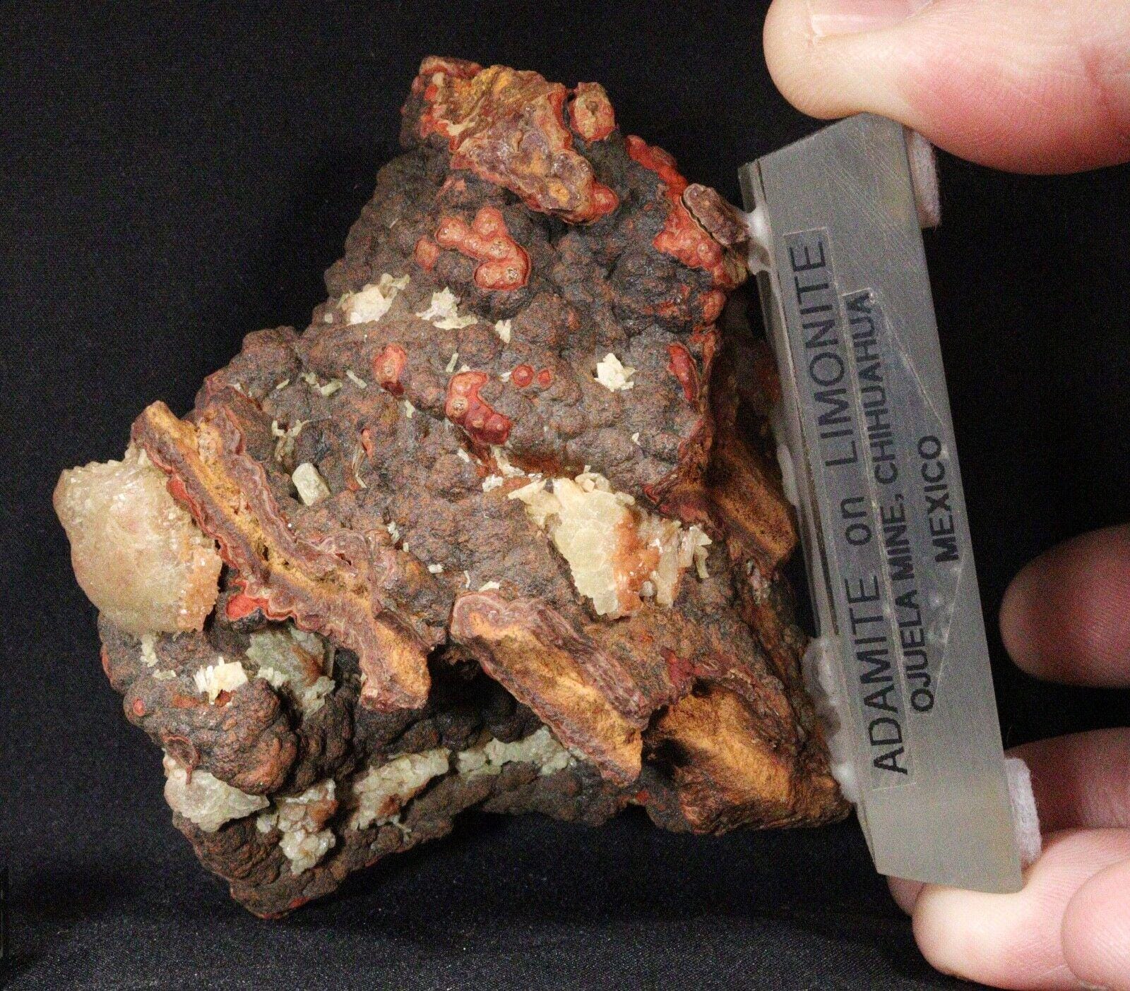 メキシコ、デュランゴ州オフエラ鉱山産の褐鉄鉱上のアダマイト - Etsy 日本