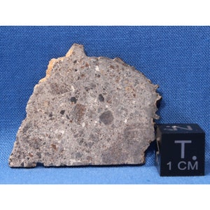 Puede incluir: Una roca gris de forma irregular con una superficie rugosa y texturizada. La roca tiene varias inclusiones oscuras y claras. Un cubo negro con texto blanco que indica 1 cm está al lado de la roca. El fondo es una tela azul.