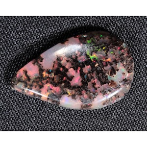 Cenny stabilny opal Conk Wood Cabochon Virgin Valley Nevada - 2,2 ct - opalizowany