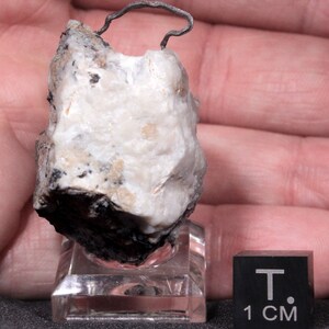Aesthetic Natural Arch of Silver Wire from Uchucchacua Mine, Peru