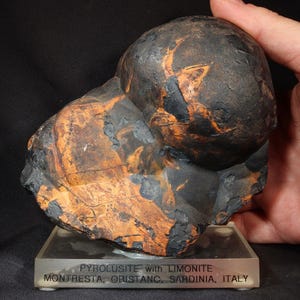 May include: A dark, textured mineral specimen with a rounded top and an irregular base. The stone features a mix of black, orange, and brown hues. The base has a label that reads "PYROLUSITE with LIMONITE MONTRESTA, ORISTANO, SARDINIA, ITALY."