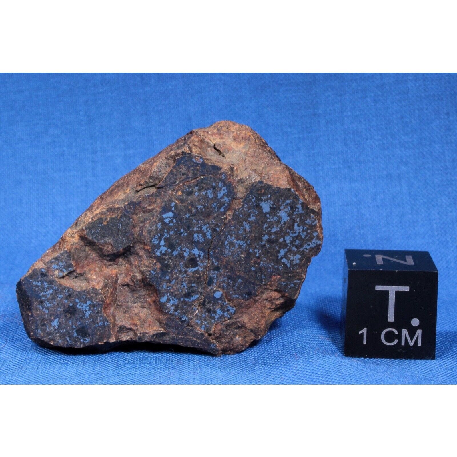34.5 Gram Vaca Muerta Meteorite End Slice - Mesosiderite