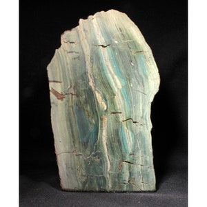 6.9 Green Jasper Replaced Petrified Wood Stand-up - Oregon
