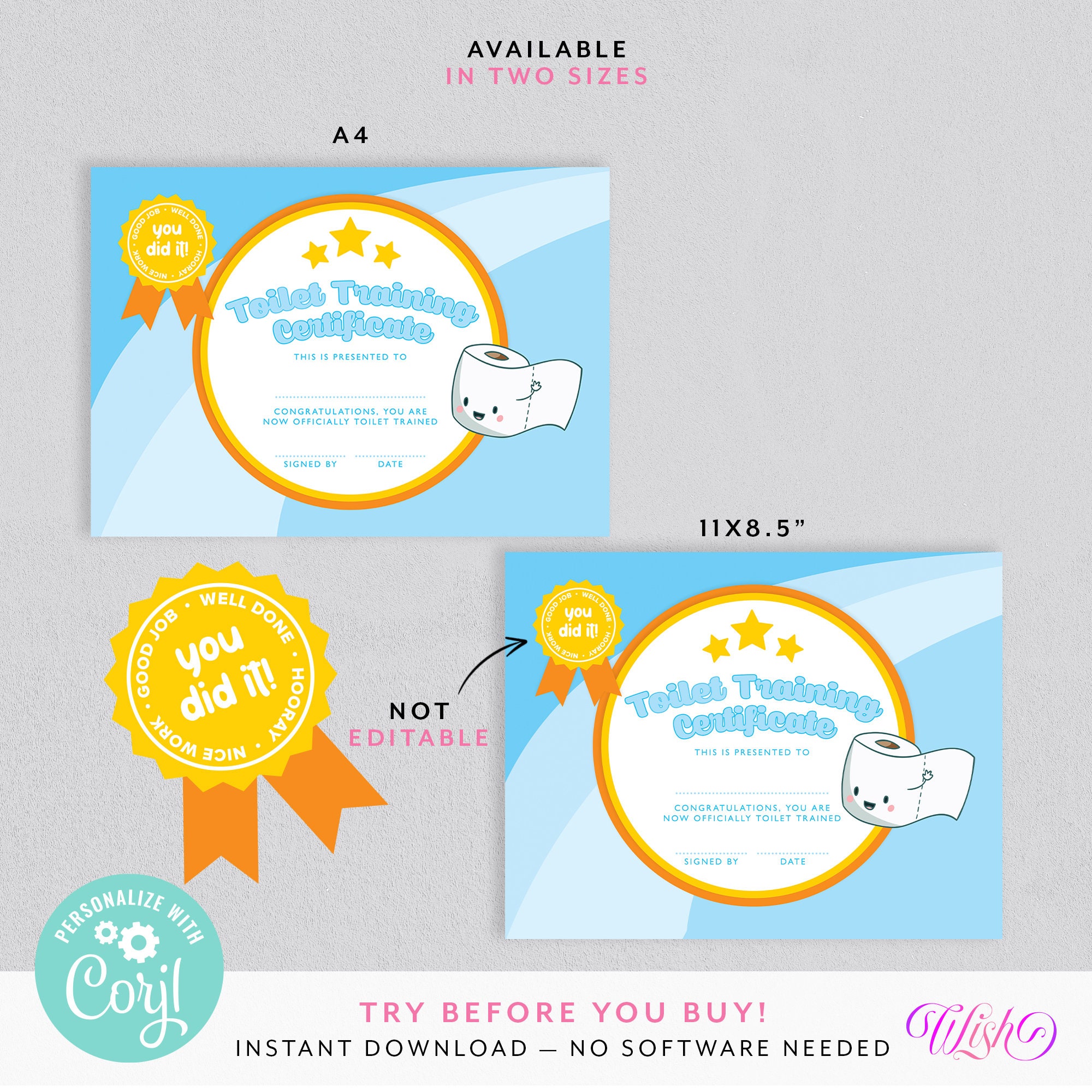 Potty Training Certificate, Potty Training Chart, Printable Potty ...