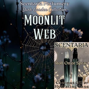 Moonlit Web Artisan Perfume: Raspberry, Marshmallow, Jasmine, Amber, Sandalwood - Vegan (10 ML)
