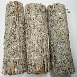 Palo Santo & Mountain Sage Smudge Stick - 4-5 ″ • Reinigende Reinigungs-Curio • Versand kostenlos (USA)