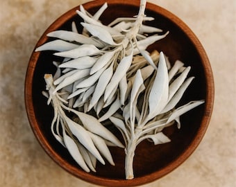 White Sage Loose Leaf Clusters - Ships Free in US