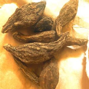 High John da Conqueror Root - ships Free in US