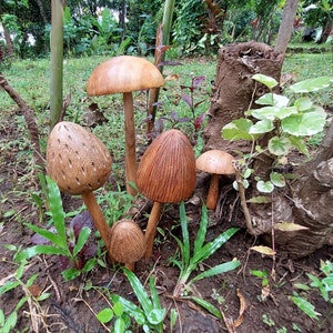 4 Wooden mushrooms