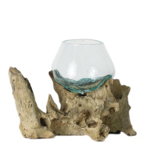 Handmade root shaped with glass flower vase table vase decorative vase on a root wood.