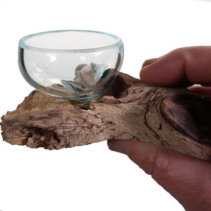 Handmade miniature root from the Gamal tree with recycled glass bowl image 3