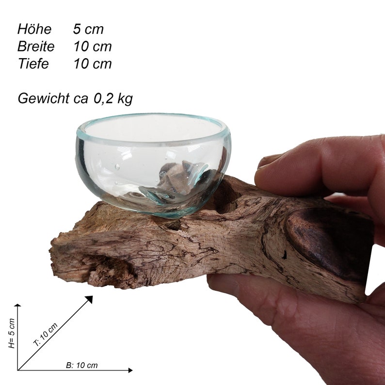 Handmade miniature root from the Gamal tree with recycled glass bowl image 2