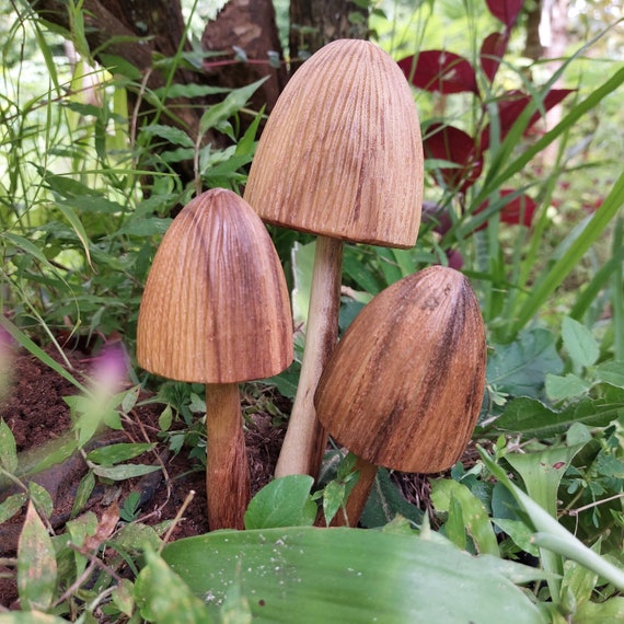 Deko Holzpilze Garten deko Gartenstecker für draußen Etsy.de