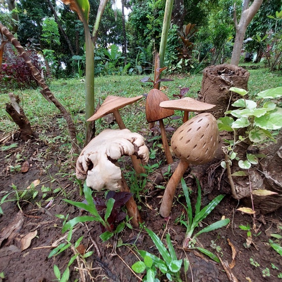 Deco Wooden Mushrooms Garden Deco Garden Stakes for Outside Autumn