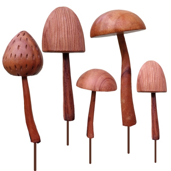 Champignon pour décoration extérieure coloris bois en teck - 30 cm