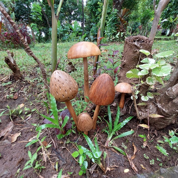 Champignons décoratifs en bois Décoration de jardin Tuteurs de jardin pour  l'extérieur Décoration d'automne 3 champignons 20 cm, 2 champignons 15 cm -   France