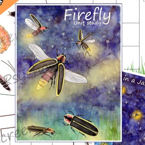 Firefly Unit Study: Watercolor Anatomy, Life Cycle, Games (Printable Bundle)