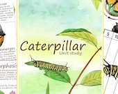 Caterpillar Unit Study: Anatomy, Life Cycle, Montessori Activity (PDF Download)