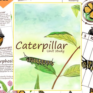 Montessori Caterpillar to Butterfly Life Cycle Printable and Anatomy Worksheets (PDF Download)