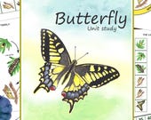 Butterfly Life Cycle Unit Study: Watercolor Anatomy, Montessori Cards (Digital Download, Editable PDF)