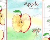 Apple Unit Study: Anatomy, Life Cycle, Montessori Learning (Digital Download)