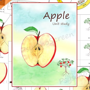 Apple Anatomie, Lebenszyklus und Karten in Homeschool Lernpaket (Digitaler Download)