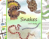 Snakes Unit Study: Anatomy, Life Cycle, Montessori Activities (PDF Download