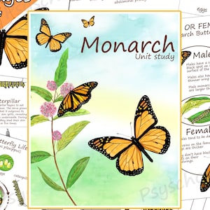 Monarch Butterfly Life Cycle: Homeschool Science Printable (PDF Download)