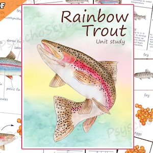 Rainbow Trout Unit Study: Watercolor Anatomy, Life Cycle, 3D Model (Digital Download)