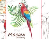 Macaw Unit Study: Watercolor Anatomy Posters, Life Cycle Cards (PDF Download)