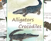 Crocodile & Alligator Unit Study: Anatomy, Life Cycle, Posters (PDF Download)