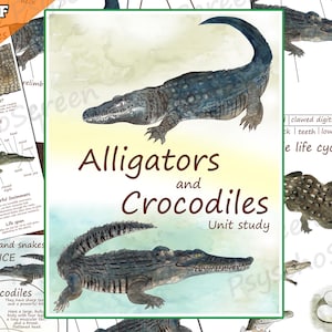 Crocodile & Alligator Nature and Unit Study for kids: Anatomy, Life Cycle, Posters (PDF Download)