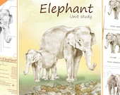 Elephant Anatomy Study: Watercolor Posters, Cards, Montessori Mammal Materials (Digital Download, Editable PDF)