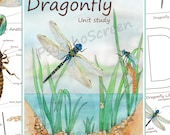 Dragonfly Anatomy & Life Cycle Unit Study: Montessori Learning Printables (PDF Download