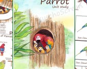 Watercolor Parrot Unit Study: Anatomy, Life Cycle, Montessori Learning (PDF Download)