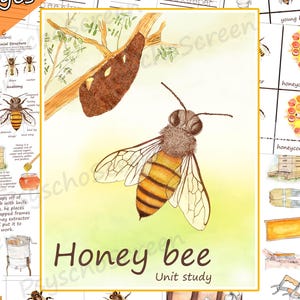 Honey Bee Unit Study: Watercolor Anatomy, Life Cycle & Social Structure (PDF Download)