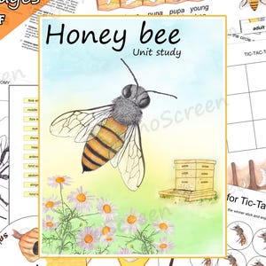Honey Bee Unit Study: Anatomy, Life Cycle, Montessori Printables (PDF Download)