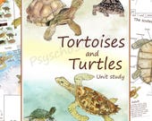 Turtle & Tortoise Montessori Unit Study: Anatomy, Life Cycle (PDF Download)