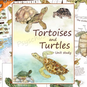 Turtle & Tortoise Watercolor Study: Homeschool Science Printables (PDF Download