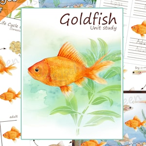 GOLDFISH Unit Study for kids, Fish printable activity with Anatomy, Life cycle, Cards, Make your aquarium,  Montessori materials for fishes