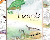Lizards Unit Study: Anatomy, Life Cycle, Montessori Activities (PDF Download)