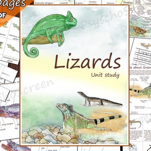 Make a LIZARDS UNIT STUDY for kids, Printable activities with Anatomy,  Life cycle, Cards, Posters, Montessori materials for reptiles