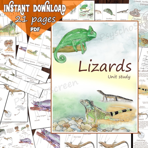 LIZARDS UNIT STUDY - Printable Anatomy, Life cycle, flashcards, posters, puzzle  - Montessori materials