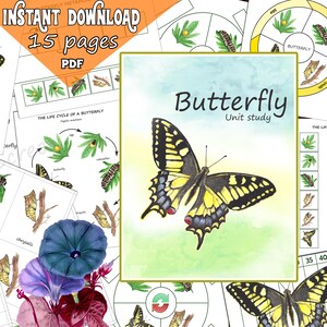 VLINDER Unit Study, afdrukbare bundel met anatomie, metamorfose, kaarten, werkbladen, bewerkbare montessorimaterialen voor insecten