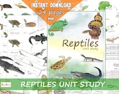Reptile Unit Study Bundle: Snakes, Turtles, Lizards, Crocodiles (Printable PDF)