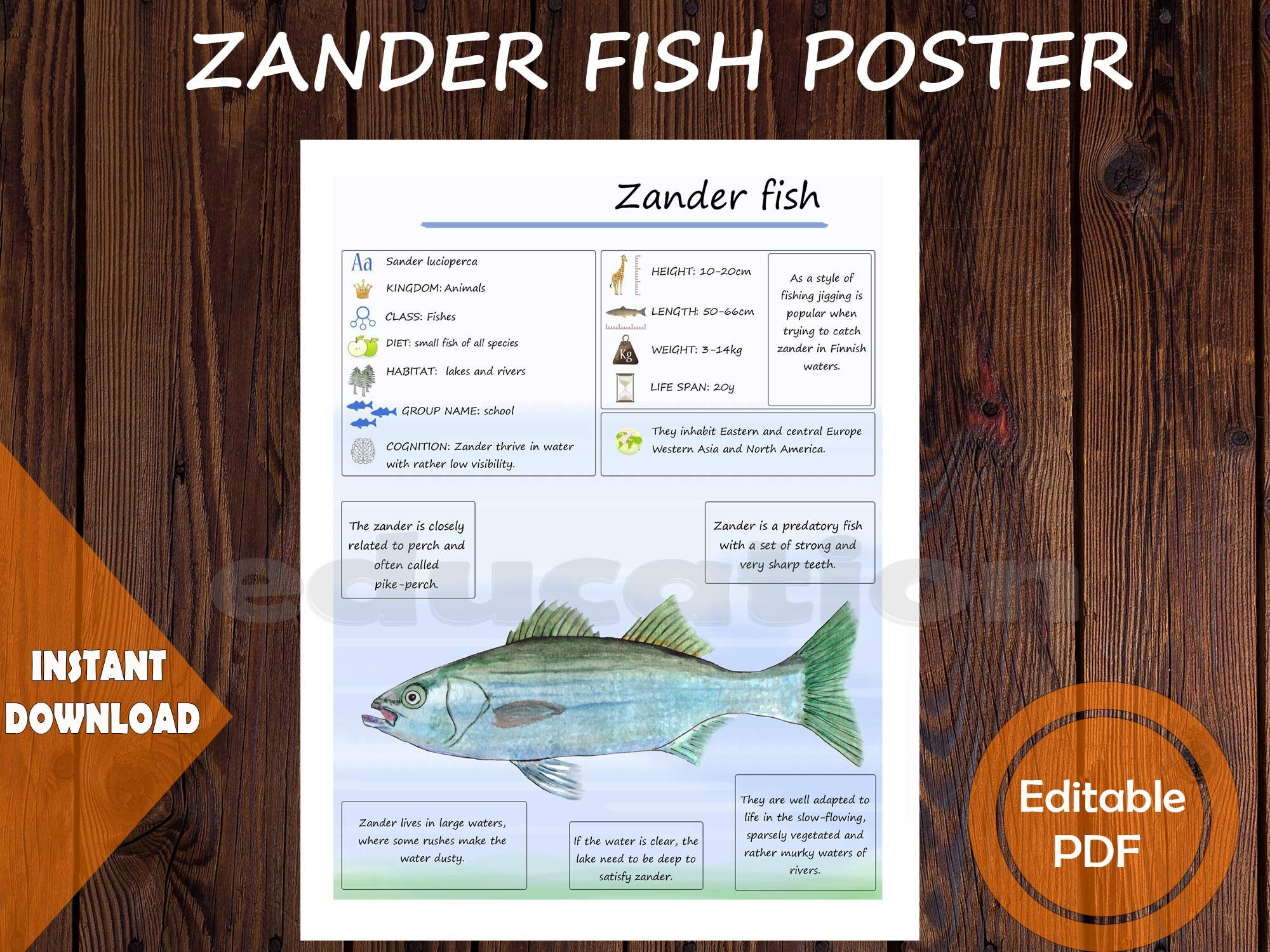 FISH Unit Study MEGA Printable Fish Bundle Anatomy Etsy