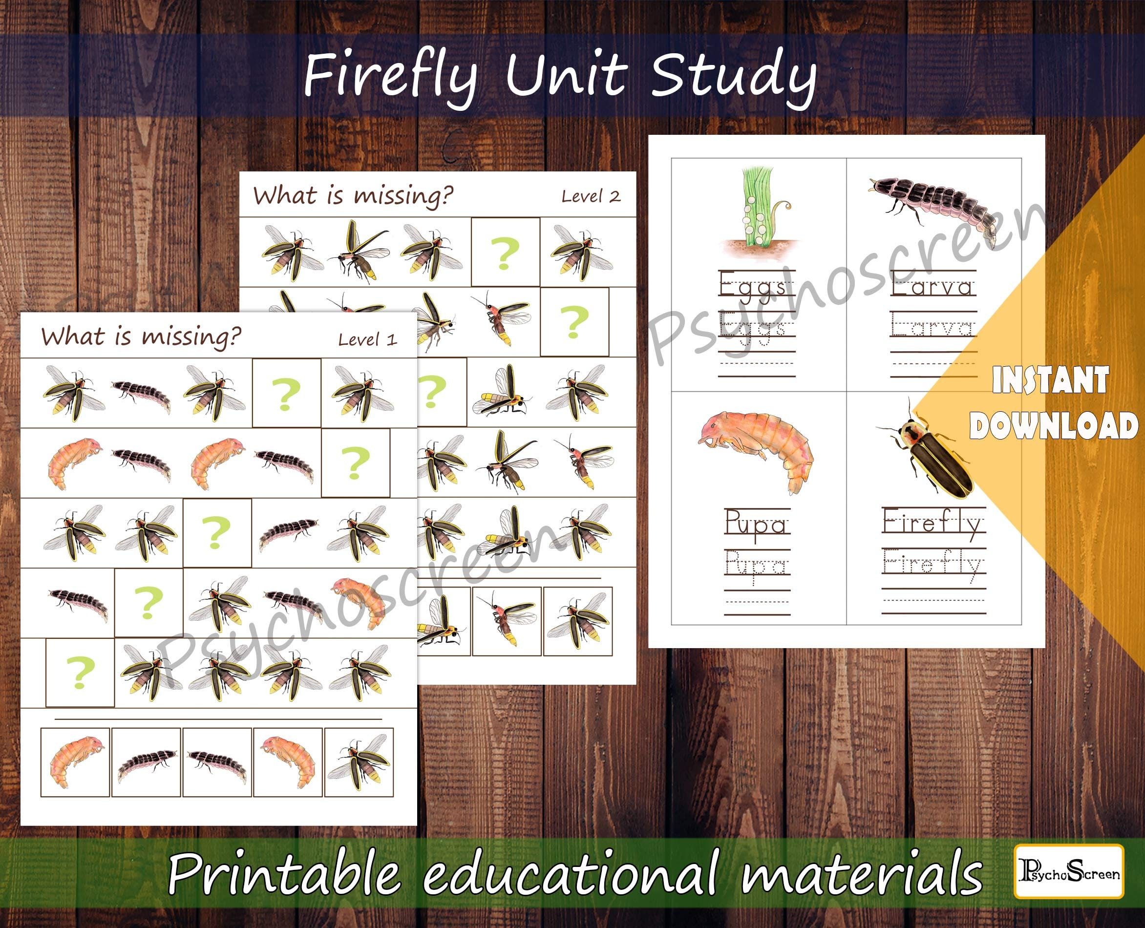 Firefly Anatomy, Life Cycle and Games for Kids (printable Bundle) - Etsy