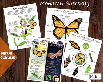 MONARCH BUTTERFLY Unit Study - MEGA Printable butterfly bundle - anatomy, posters, cards, puzzle - Montessori materials