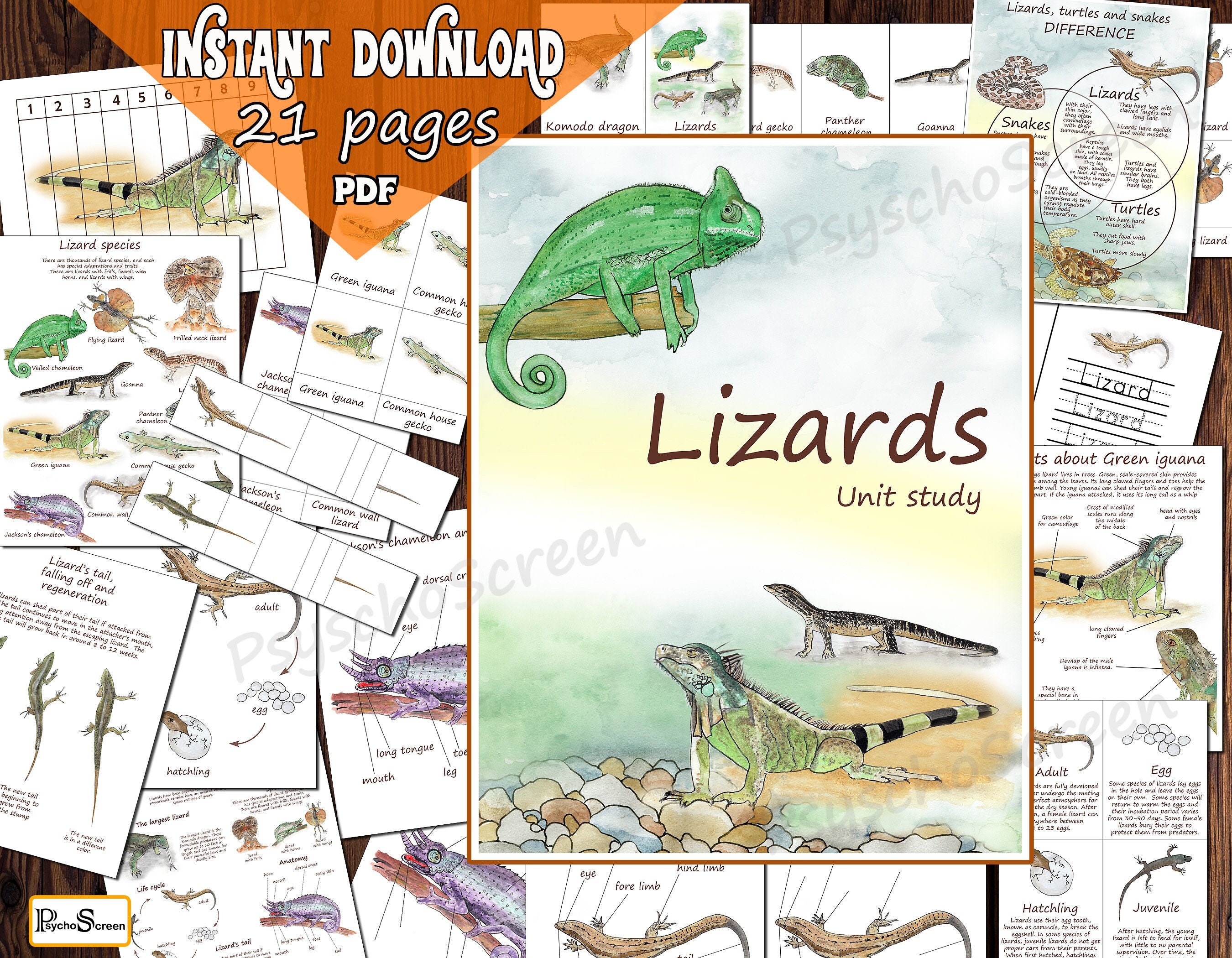 Make a LIZARDS UNIT STUDY for kids, Printable activities with Anatomy,  Life cycle, Cards, Posters, Montessori materials for reptiles