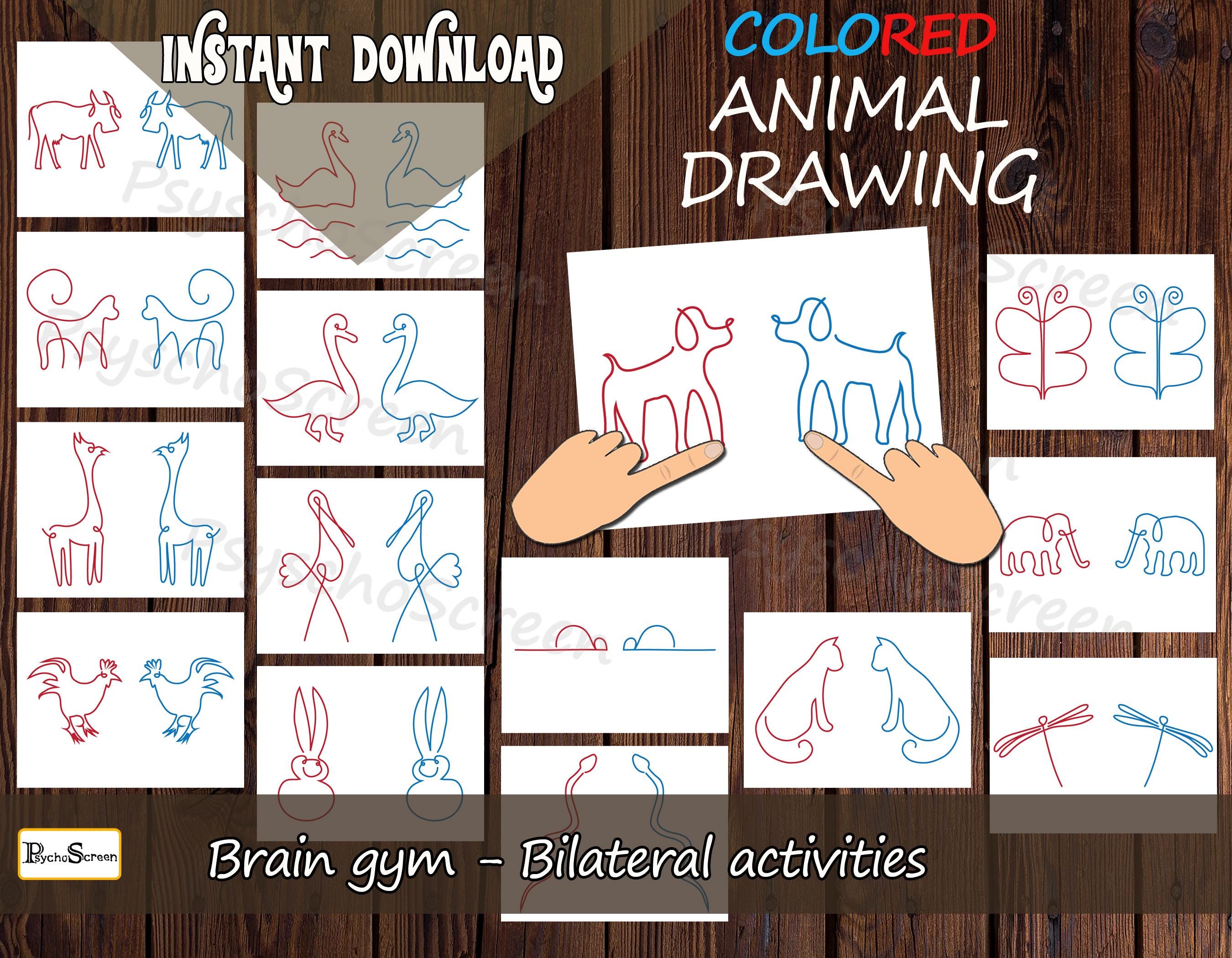 Animal Drawing Games: Brain Gym for Kids (printable PDF) - Etsy